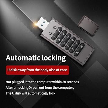 Secure Flash Drive - Encrypted USB Drive - USB 3.0 Hardware Encryption Flash Drive - Support Reset/Wipe/Auto Lock - Compatible for Mac/Windows/Linux 32GB