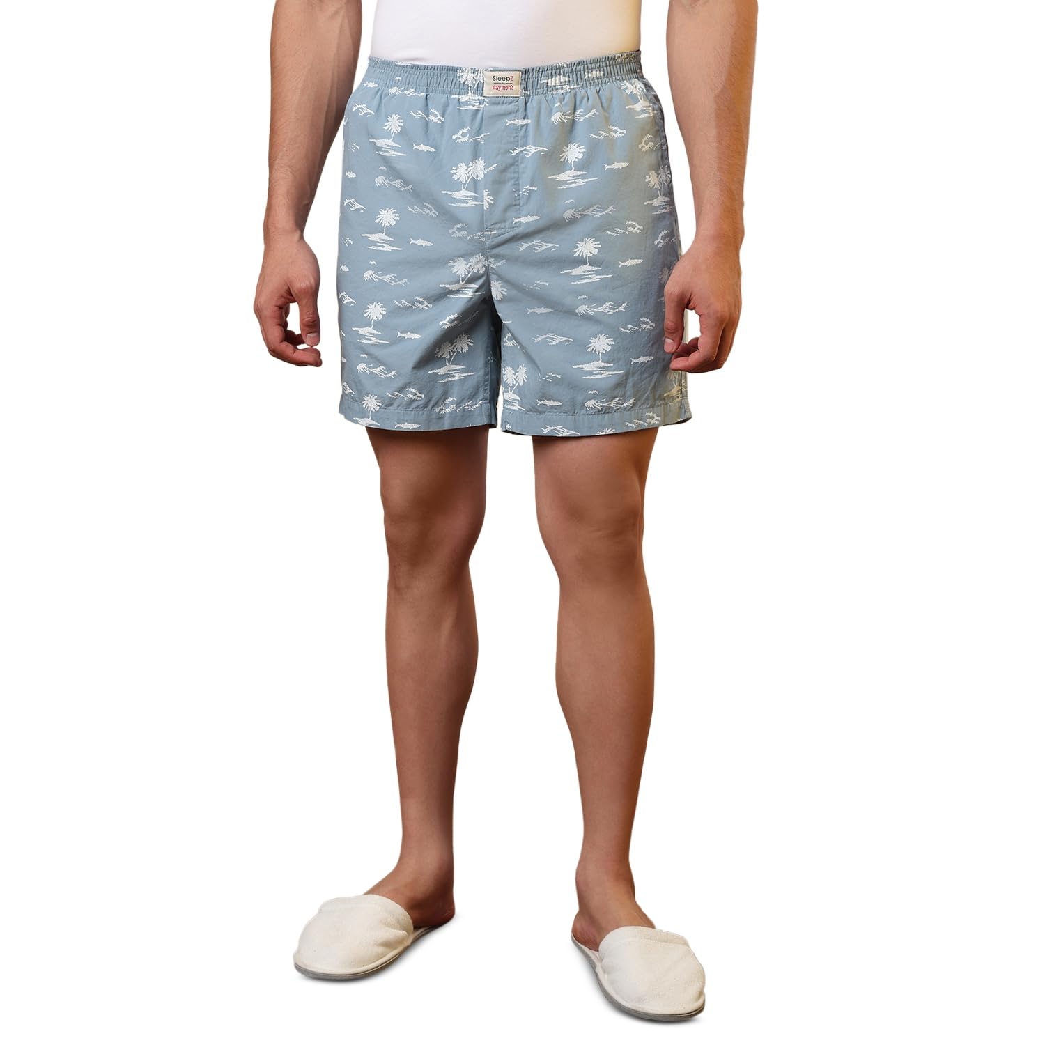 sleepz by raymond Men Flat Front Regular Fit Print Pattern Pure Cotton Boxer-picture-26
