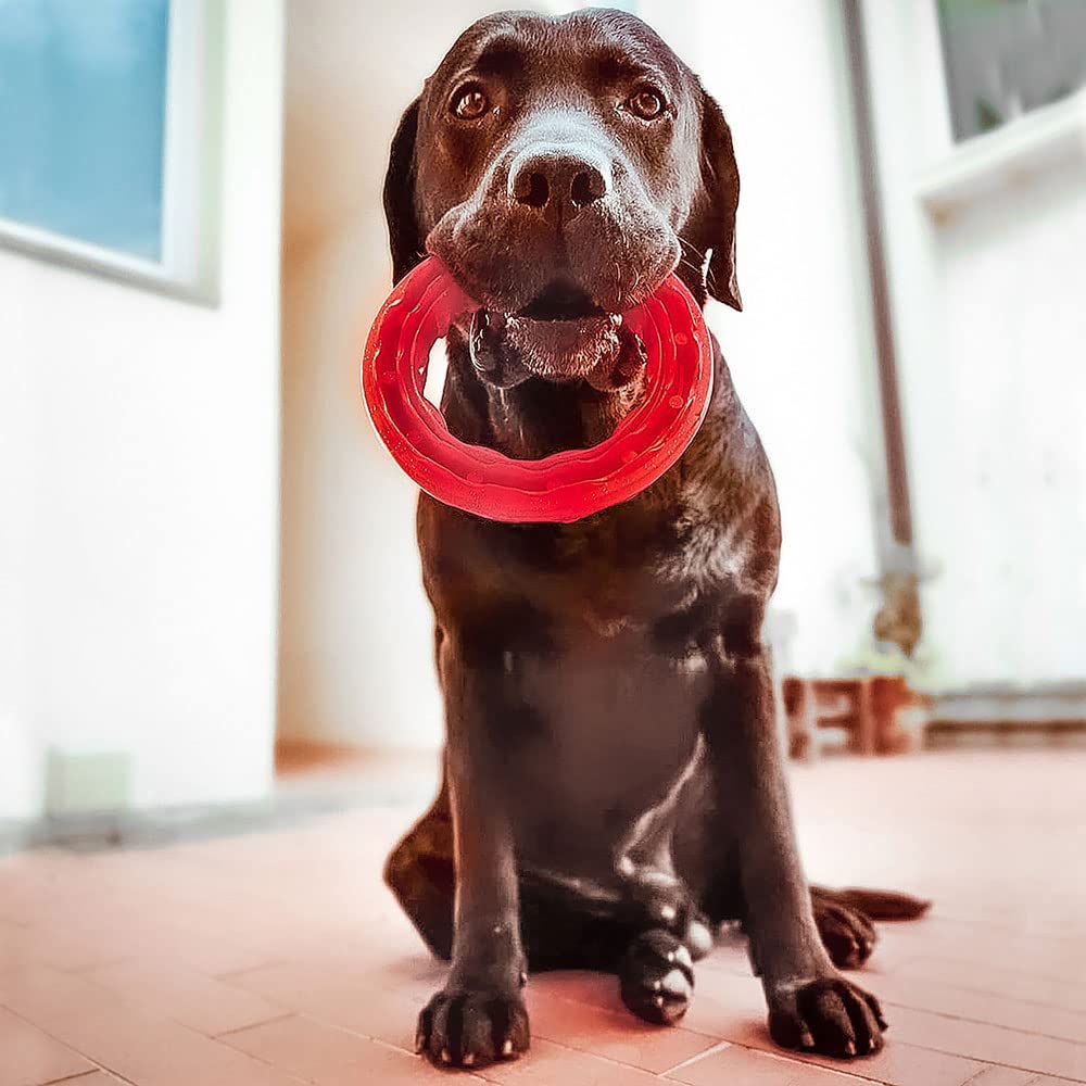 Ferplast Hondenspel, Ring Speelgoed voor Honden, Hondenbrokjesdispenser, van duurzaam materiaal om te kauwen, vleesaroma, voor mondhygiëne hond, SMILE Fitness ring, Spelen voor grote honden, Zwart