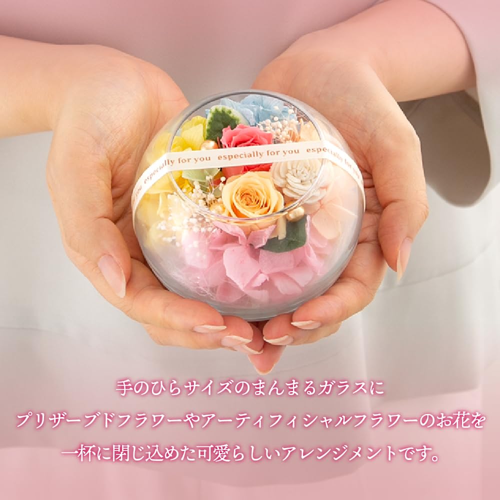 Amazon.co.jp: Ruplan プリザーブドフラワー ギフト | プチヴェール