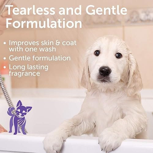 Miniatura 41 de Nootie - Champú para mascotas para pieles sensibles - Revitaliza la piel seca y el pelaje - Ingredientes naturales - Champú suave para perros