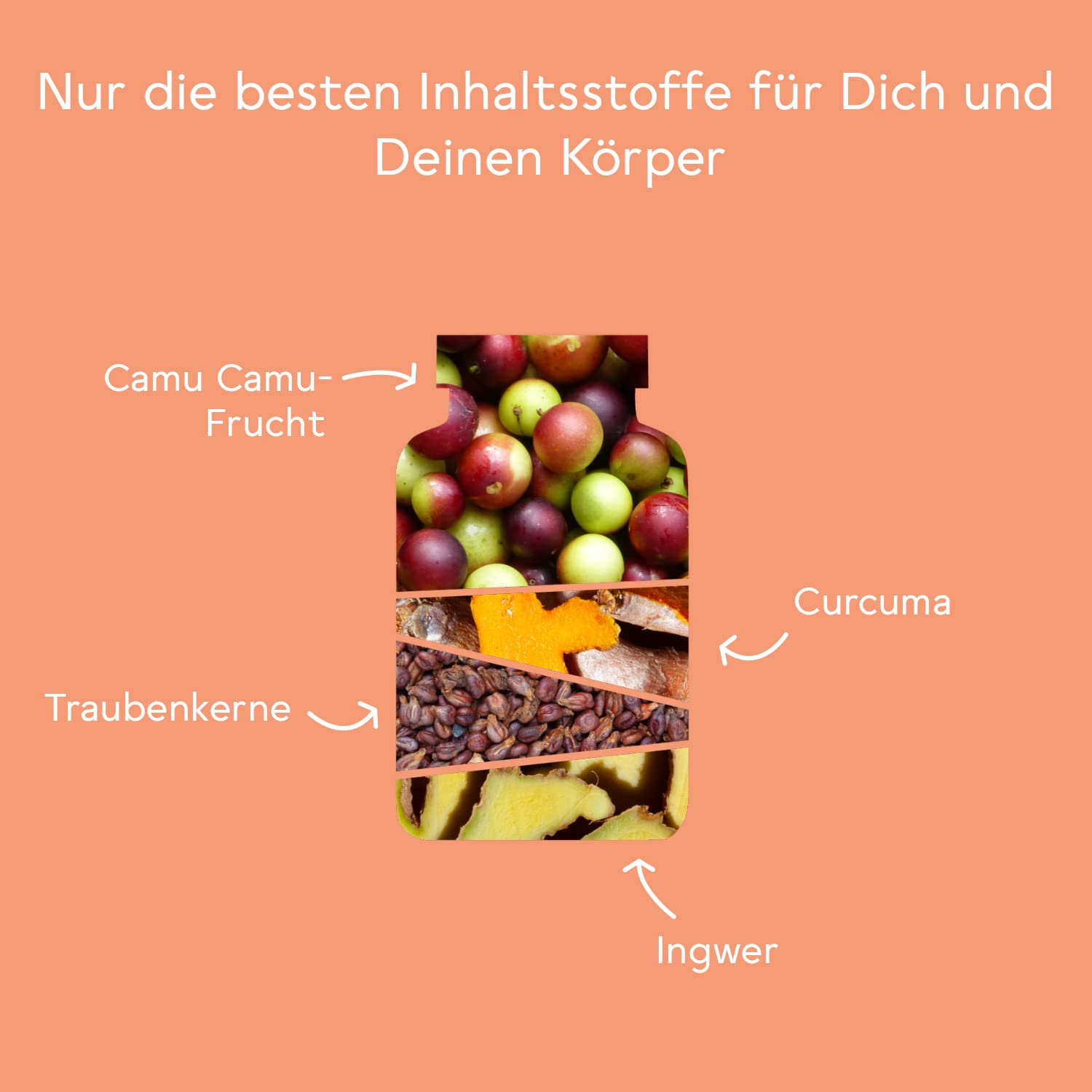 BitterLiebe® Bitter Immun Komplex (1er Set) mit natürlichem Vitamin C aus Camu Camu plus OPC Traubenkernextrakt hochdosiert I 270 vegane Kapseln mit Kurkuma, Ingwer