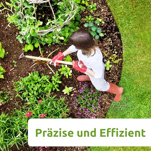 Gartenhacke, Bodenhacke, Unkrautentferner im Garten-Jäter als Unkrautvernichter und entfernter, Gartengerät, Garten Gadgets, Unkrautstecher