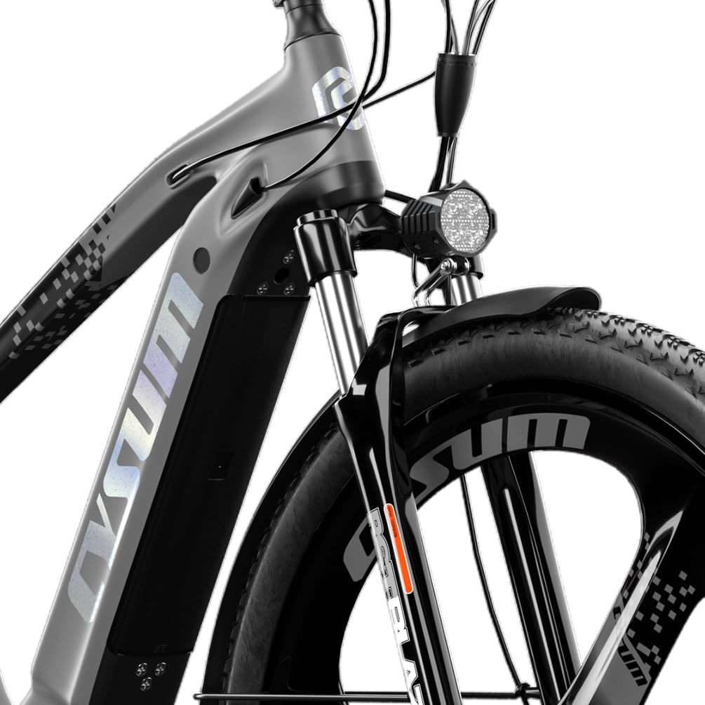 Speedy E Bike Mountain Bike 29 pollici | Bicicletta elettrica MTB Ebike Batteria 48V 720Wh 25km/h per 170-190 cm Dotata di portapacchi e parafango