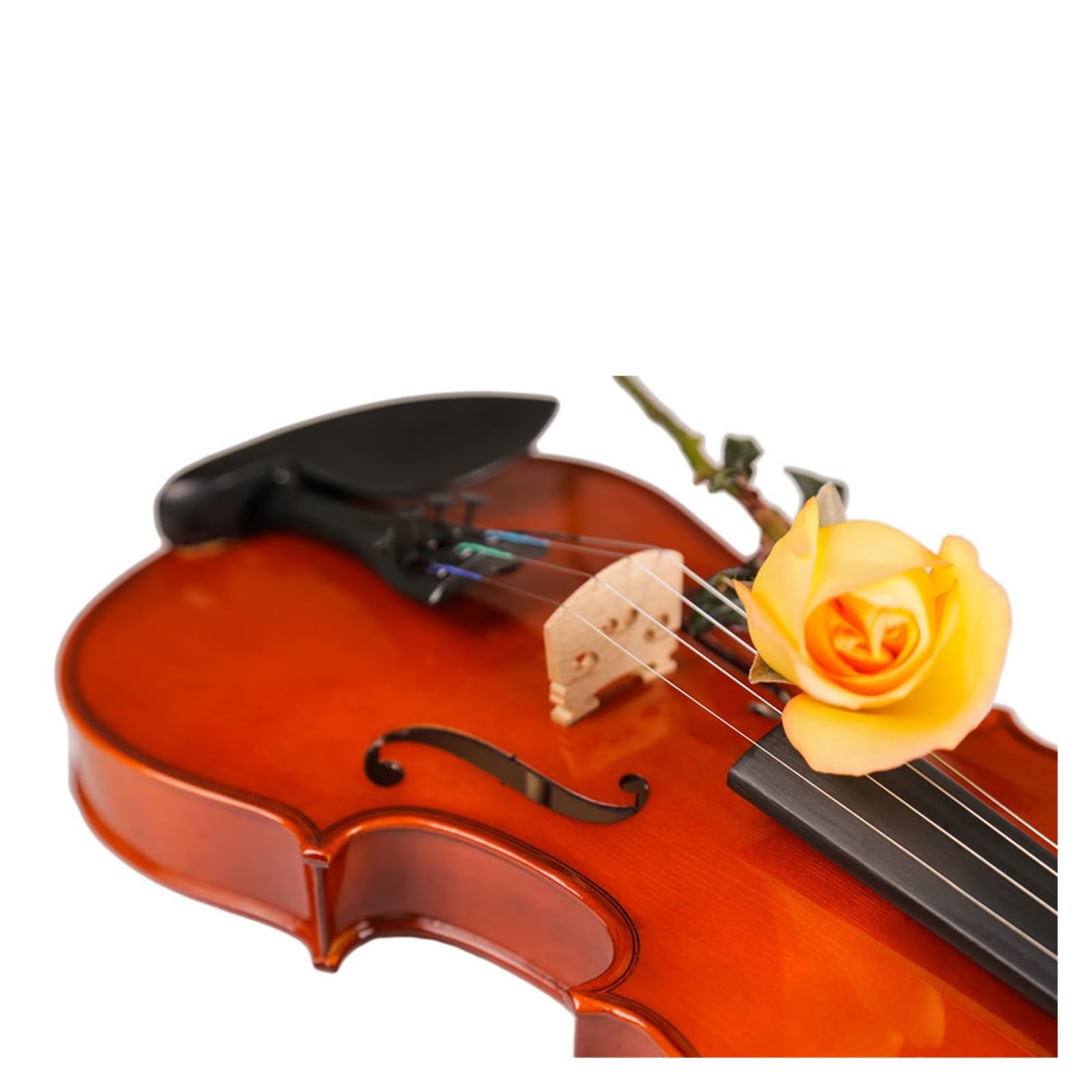 Il Popolare Violino 4/4 In Legno Massello È Adatto Ai Principianti(1/2)