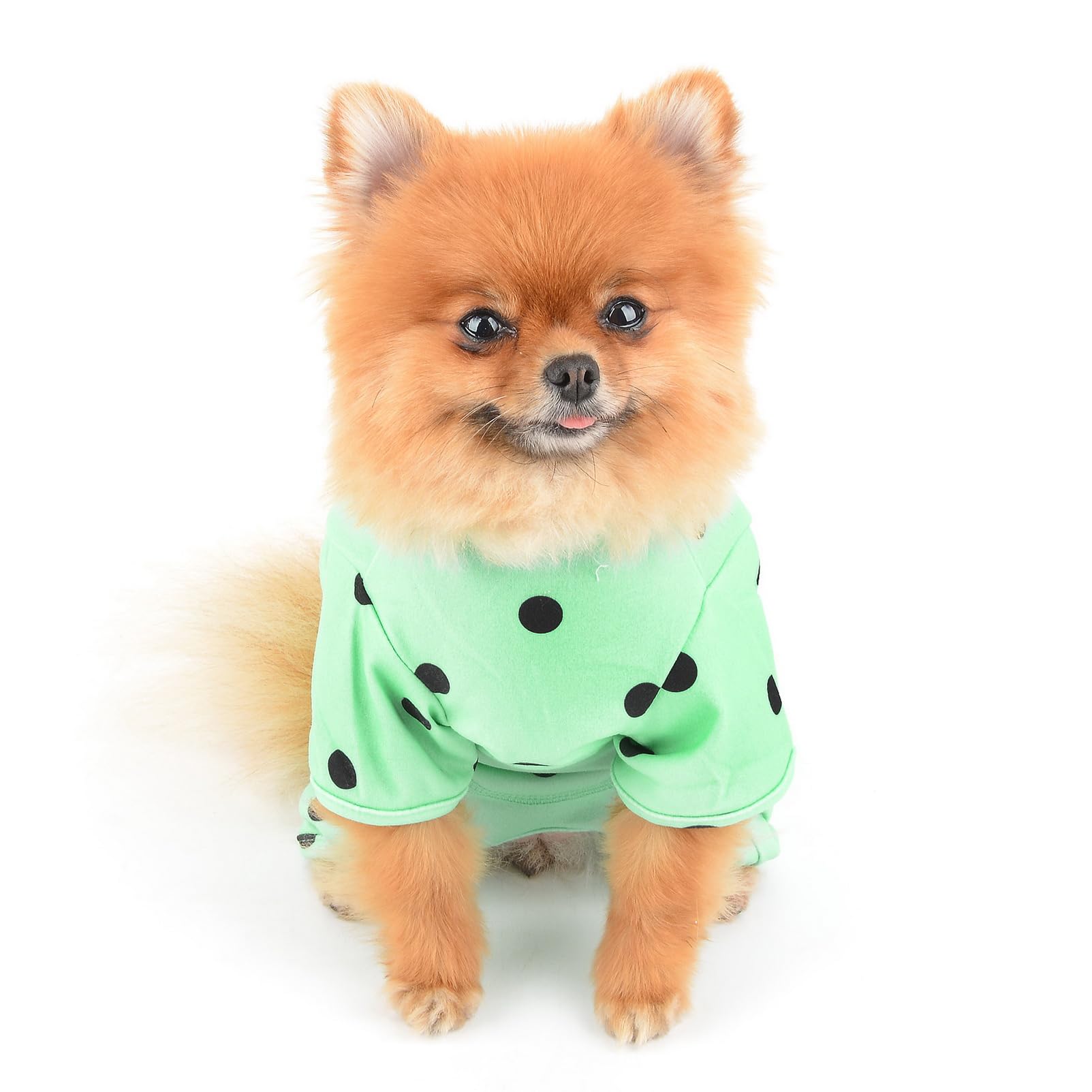 SMALLLEE_LUCKY_STORE Small Dog Clothes Cute Retro Dots Puppy Pajamas Pjs Belly Cover Cat Pyjamas Stretchy Jumpsuit Warm Sleepwear Outfits for Yorkie Chihuahua,Green,M - Image 3