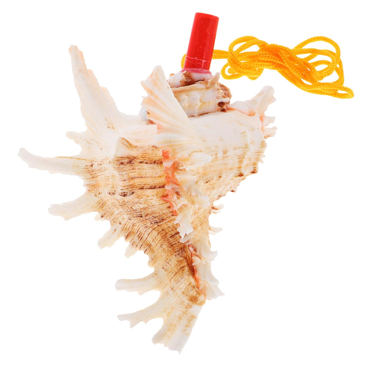 UPKOCH Cuerno Natural De Caracola De Mar 5.51 Pulgadas Silbato Instrumento Musical Versátil Para Niños Juguete De Viaje Con Sonido Melodioso Para Fiesta Y Decoración