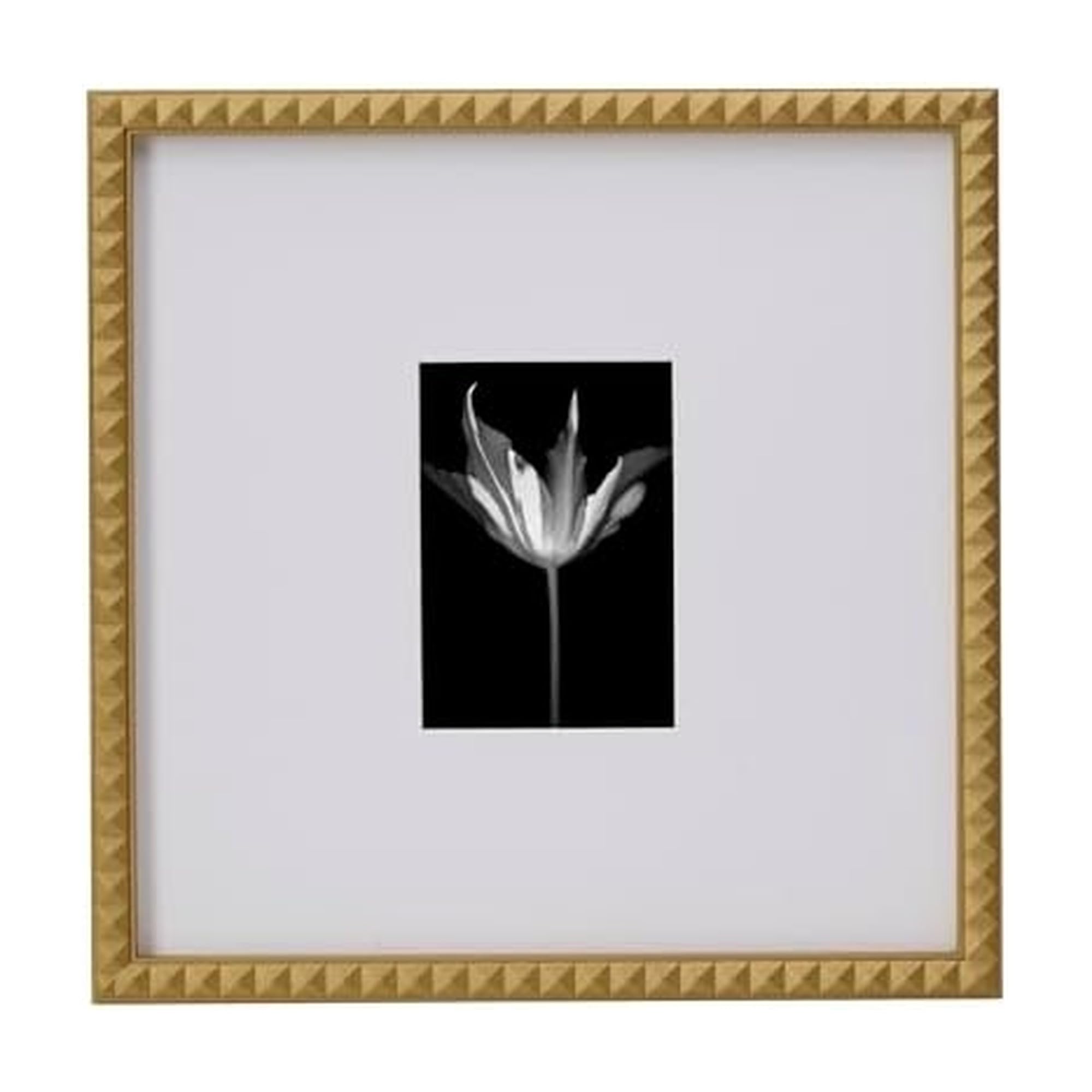 Amazon.com - Mikasa Gold Pyramid Wood Gallery Frame, Matted to