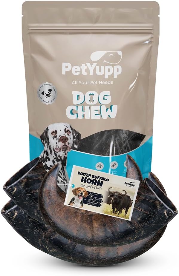 3 Water Buffalo Horns for Dogs Medium - Natural & Long Lasting Dog Chews for Medium Breed Dogs - Durable Buffalo Horn Chews for Aggressive Chewers - Support Dental Health & Chewing Exercise