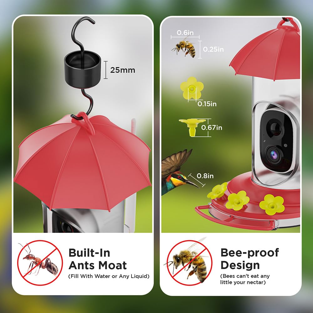 Alimentatore intelligente per colibrì con telecamera senza fili all'aperto mangiatoia per uccelli con fossato di formica