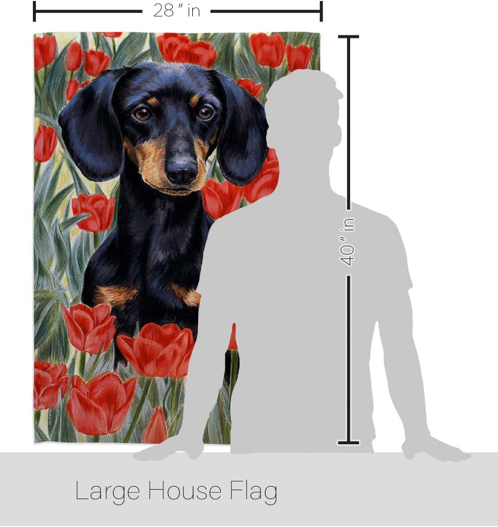 Breeze Decor - Dachsund in Tulips Nature - Everyday Pets Impressions Decorative Vertical House Flag 28" x 40" Printed in USA