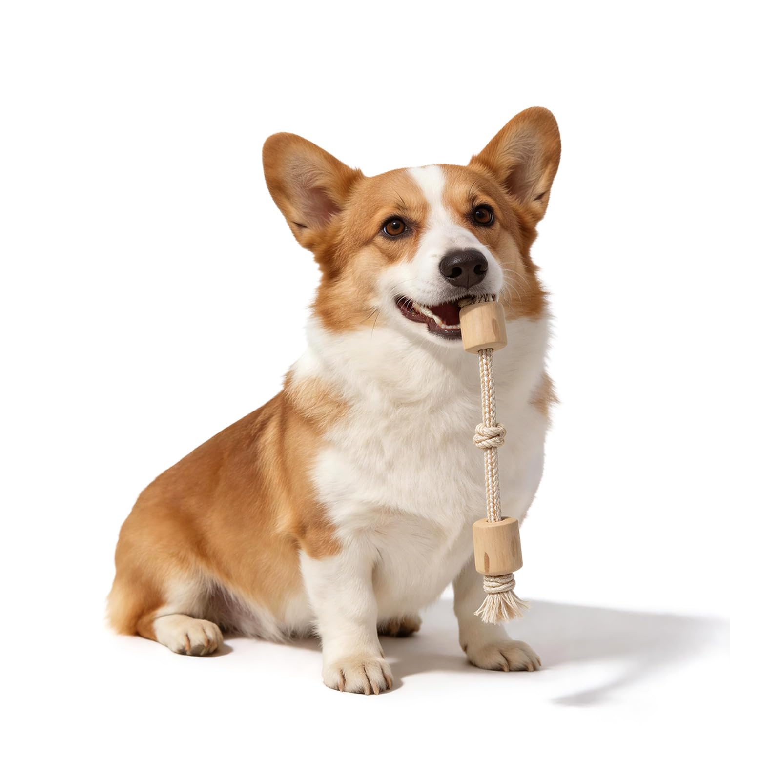 Amazon | SCHITEC 犬 おもちゃ ロープ 噛む コーヒーの木（中小型犬に
