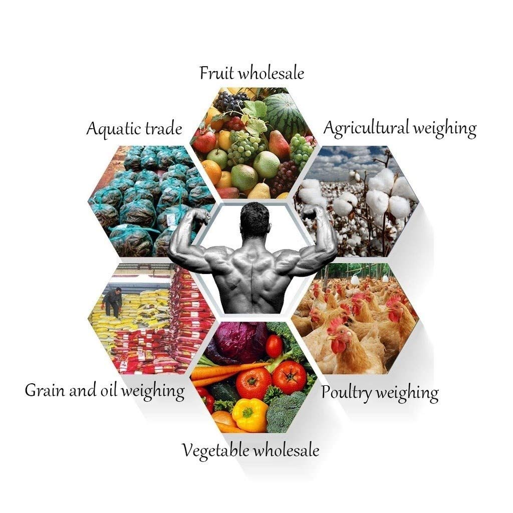 Hanging Scales Digital Weight Scale with Cast Aluminum Case Handheld Mini Crane Hooks for Farm Hunting Fishing Outdoor Electronic Hook Alloy LCD Display 300kg / 660lb