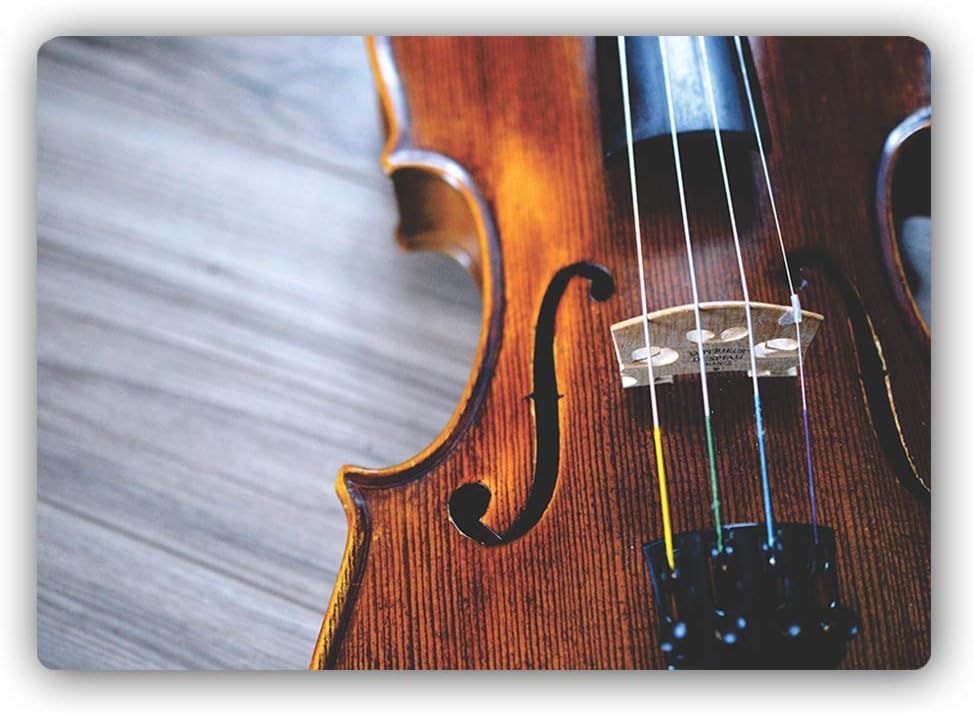 Feeby Metal print Instrument Picture Photo Wall art Violin Brown 60x40 cm