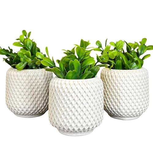 Vaso de Planta Artificial- Kit até 6 Unidades Sem ou Com Plantas Artificiais- Mesa, Estante, Rack, Nicho, Arranjo Artificial para Decoração de Sala Quarto Escritório(KIT 3 - VASINHOS COM PLANTA)