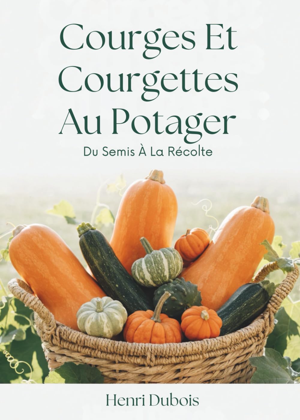 Courges Et Courgettes Au Potager: Du Semis À La Récolte