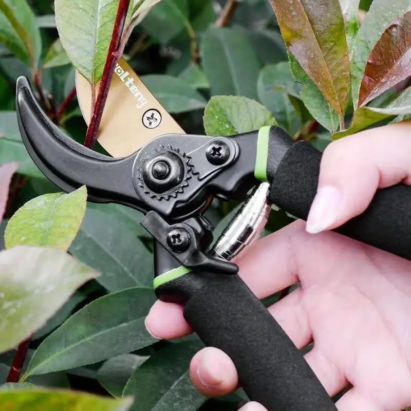 Image of 8 Inch Gardening Scissors -Pack of 1 | Plants Scissor | Garden Shear Tree Branch Pruner | Gardening Cutter Tool | Plant Cutter for Home Garden | Wood Branch Trimmer