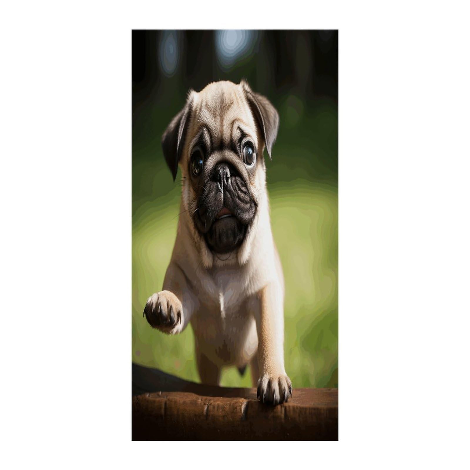 Fekiloot Style Pug Puppies Door Curtain Room Divider Curtains