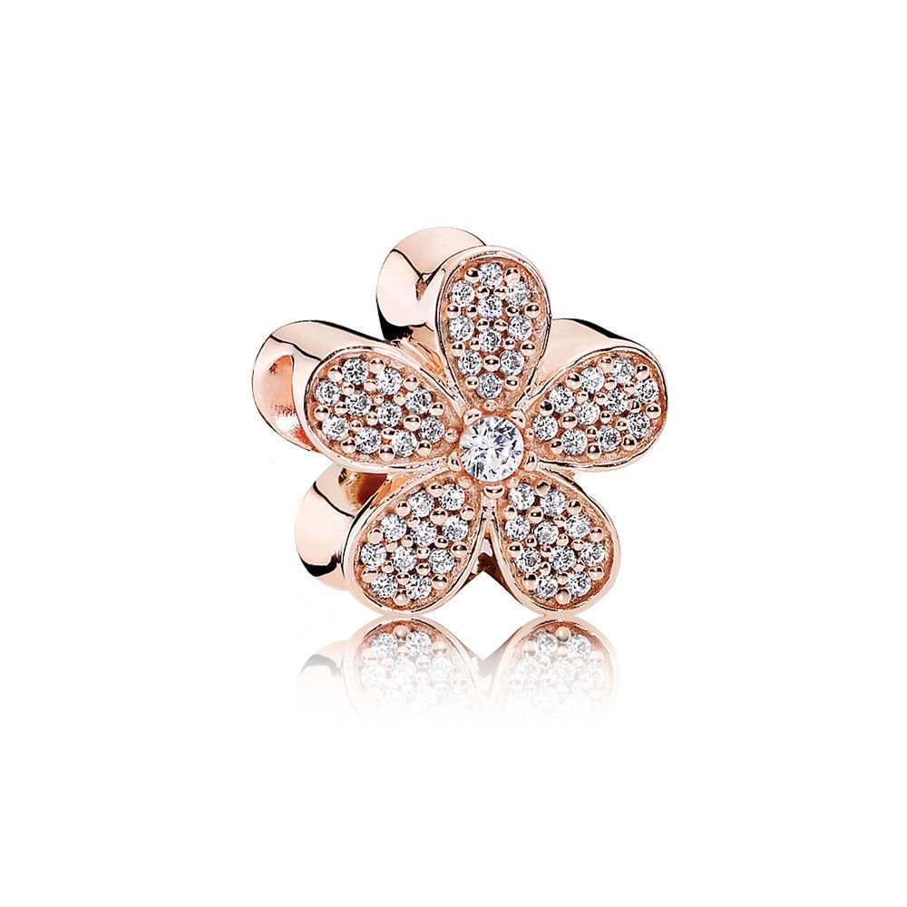 Abalorio Pandora de plata para mujer charms elegantes de diseño atemporal 2
