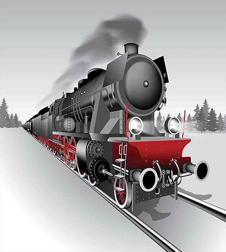 Miniatura 2 de Ambesonne Juego de funda de edredón con motor de vapor, locomotora de tren rojo y negro sobre vía de tren de acero, estampado gráfico de aventuras y