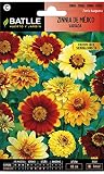 Floración: Verano-Otoño Zinnia de MEJICO variada