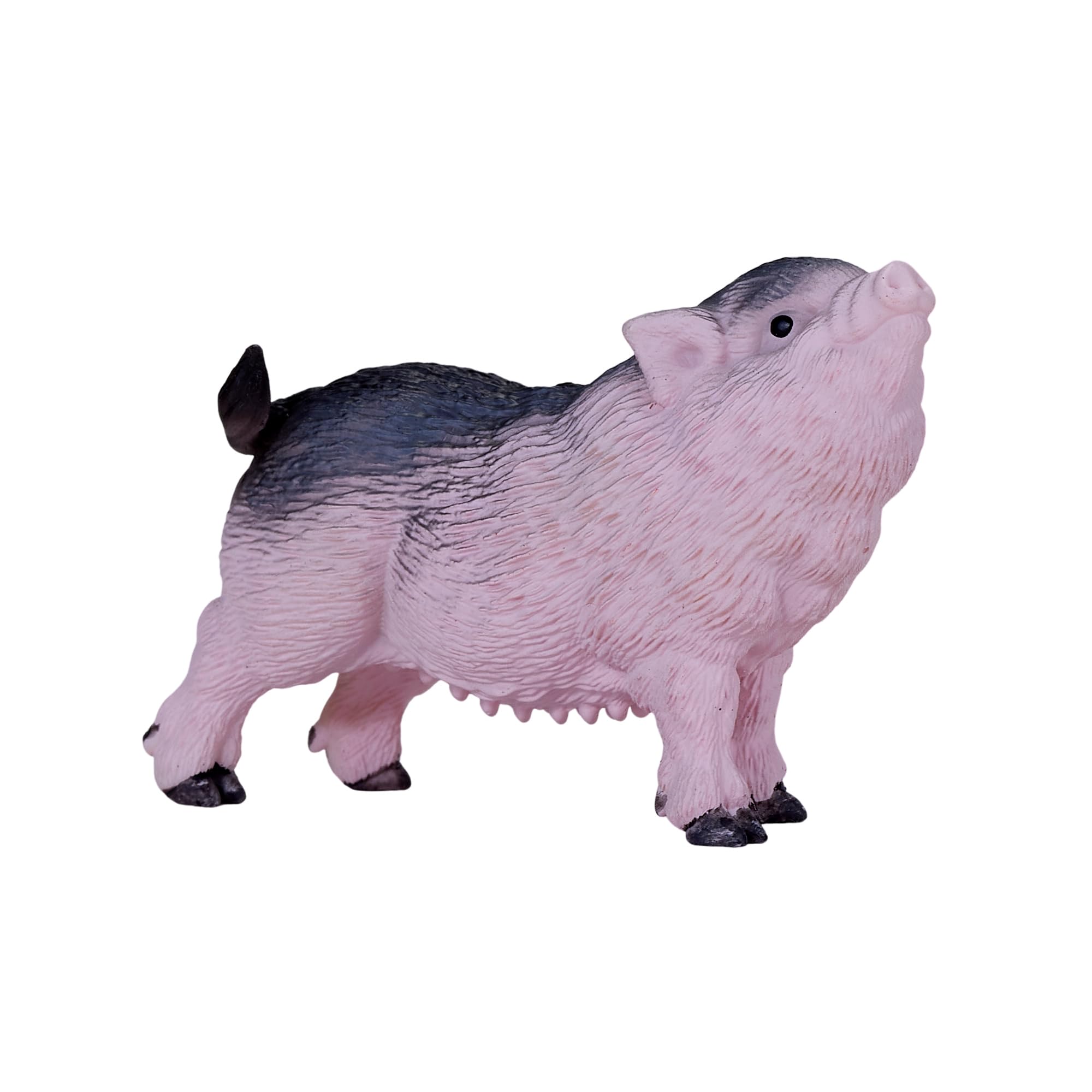 MOJO - Pot Bellied Piglet - Image 2