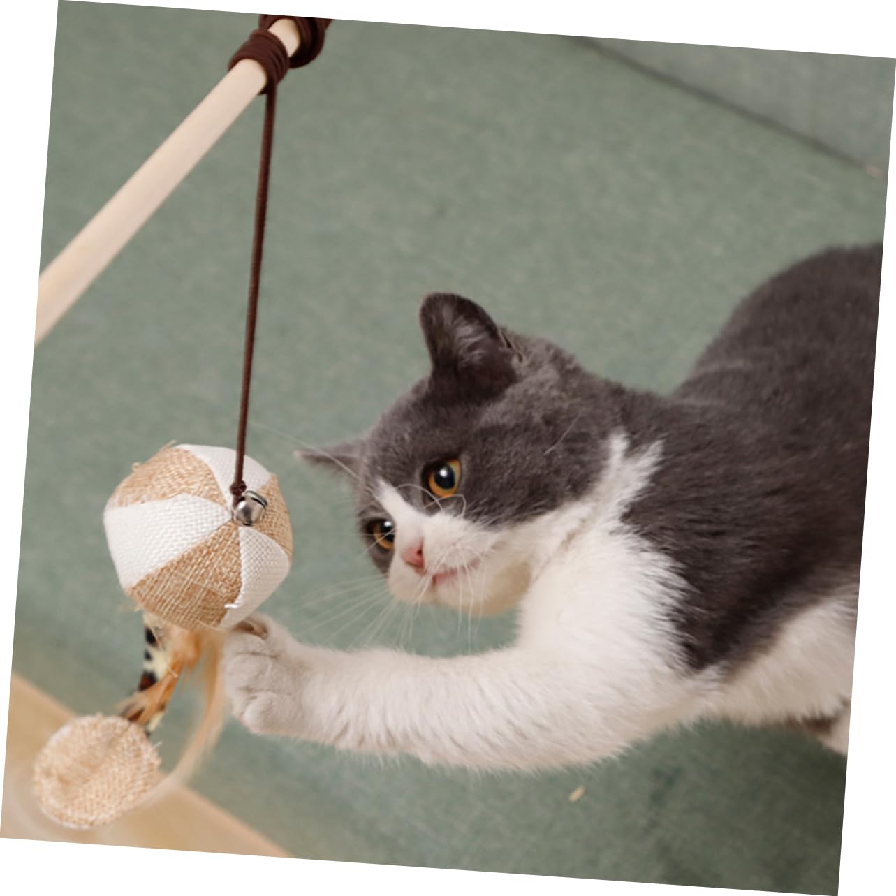 VANZACK 12stücke Titel Teiliges Katzen-spielzeugset Mit Holzgriff Interaktiver Katzenverführer Mit Plüsch- Und Glocke Für Aktives Spielen Zu Hause Gemischte Stile
