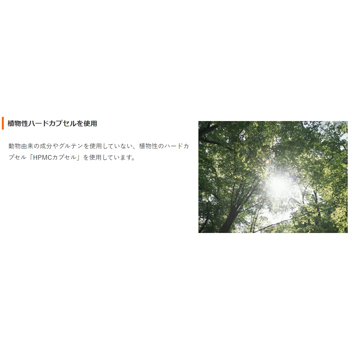 Amazon | ワカサプリ 乳酸菌 90粒 3粒で約1兆個の乳酸菌（ヨーグルト約 