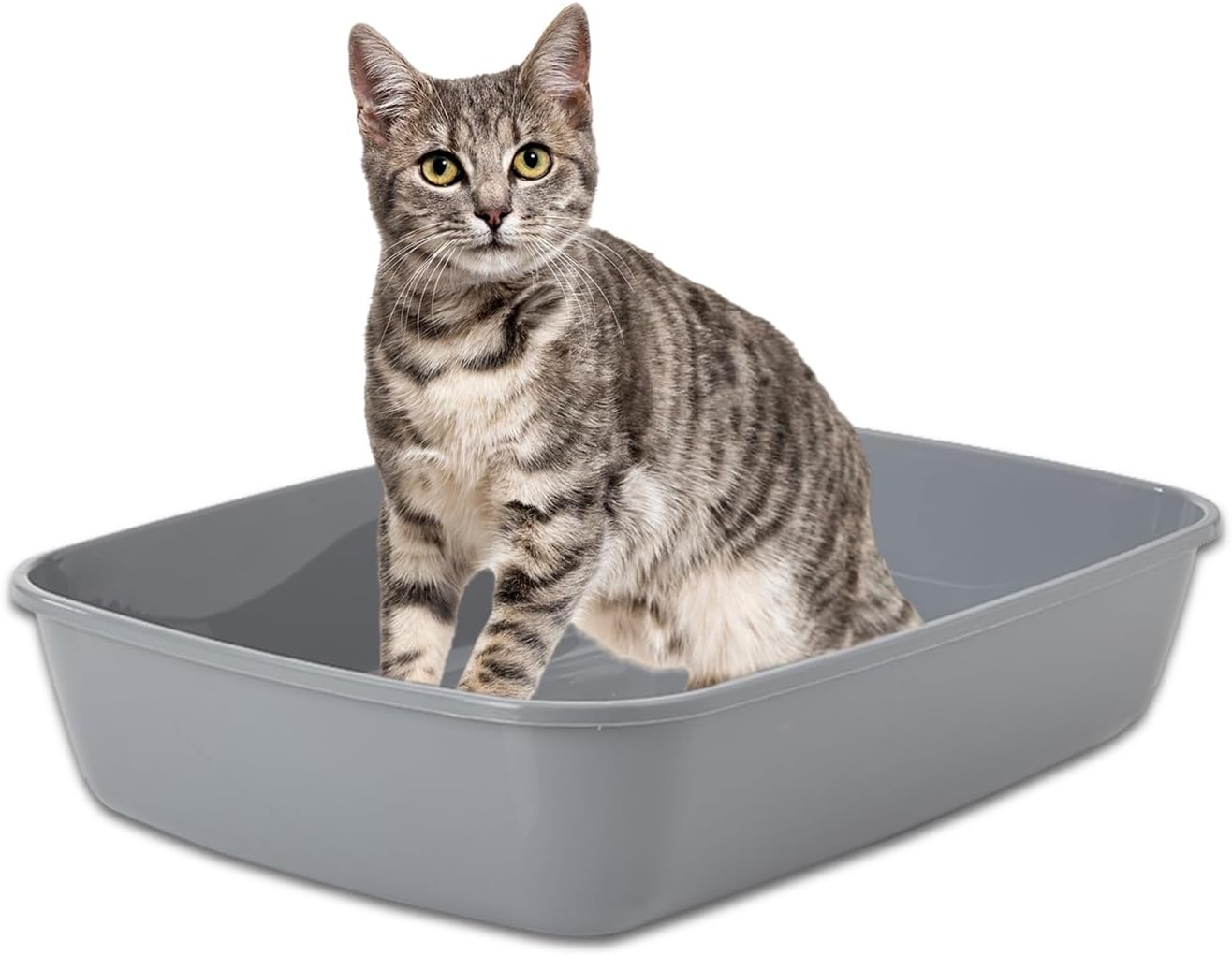 Buy Savic Cat Litter Tray Iriz Modern Design Kitten and Cat Litter