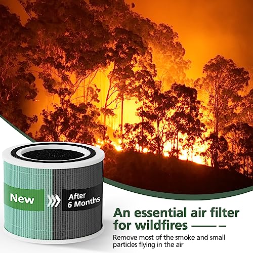 Core 300 Toxin Absorber Replacement Filter for LEVOIT Core300-P Core 300 VortexAir Air Purifier, 3-in-1 HEPA and Activated Carbon, Core 300-RF-TX, 2 Pack, Green