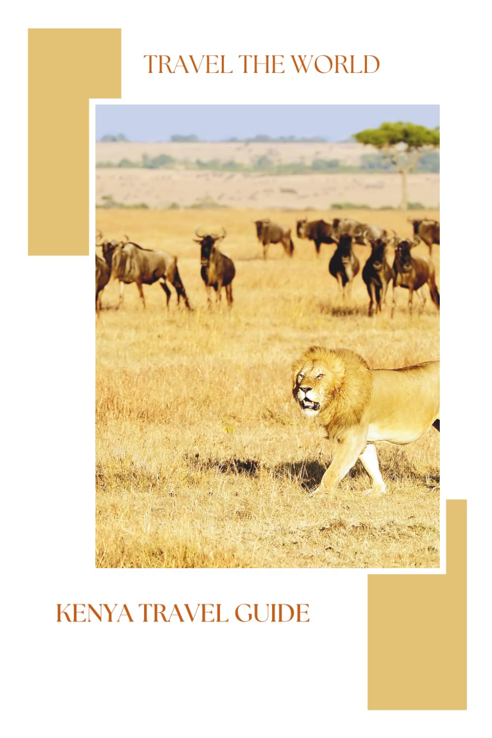 Kenya Travel Guide