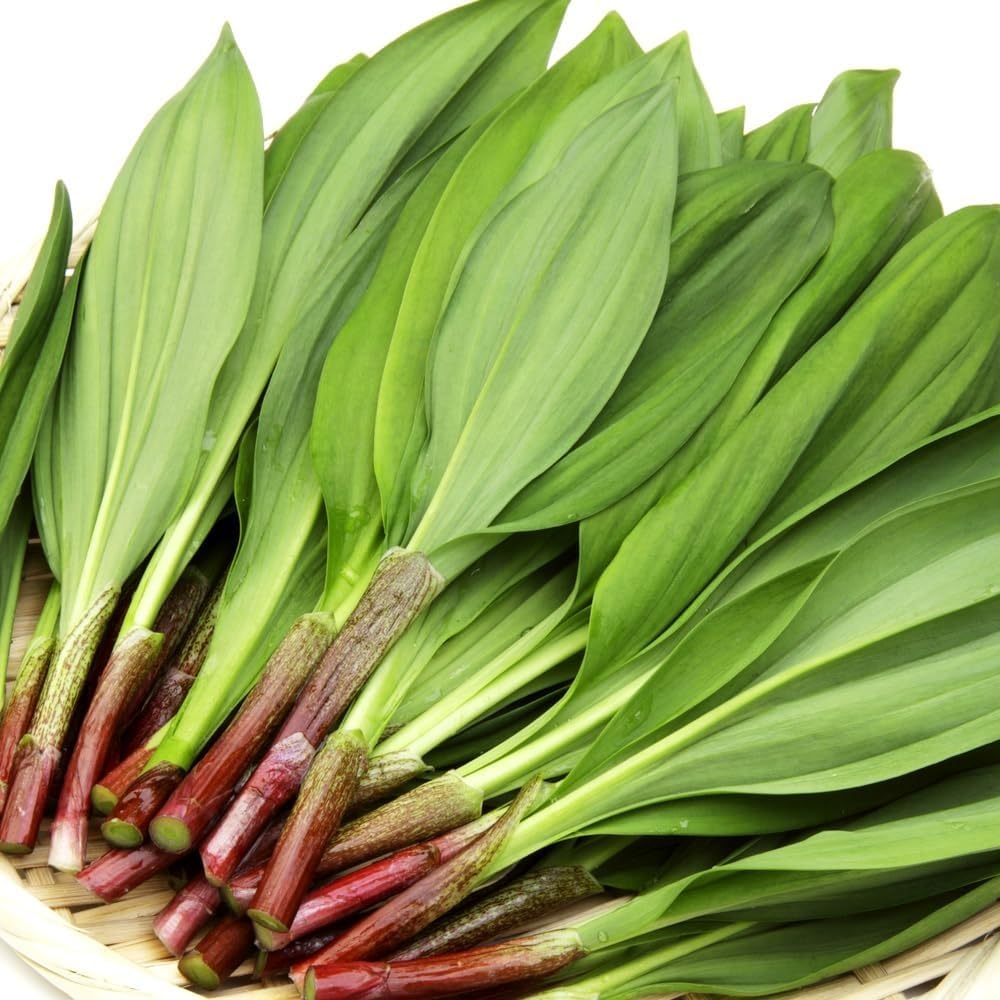 行者ニンニク　アイヌネギ2キロ⭐︎ Amazon.co.jp: 北海道産 ご家庭用 天然 行者にんにく 2kg (訳あり/冷蔵