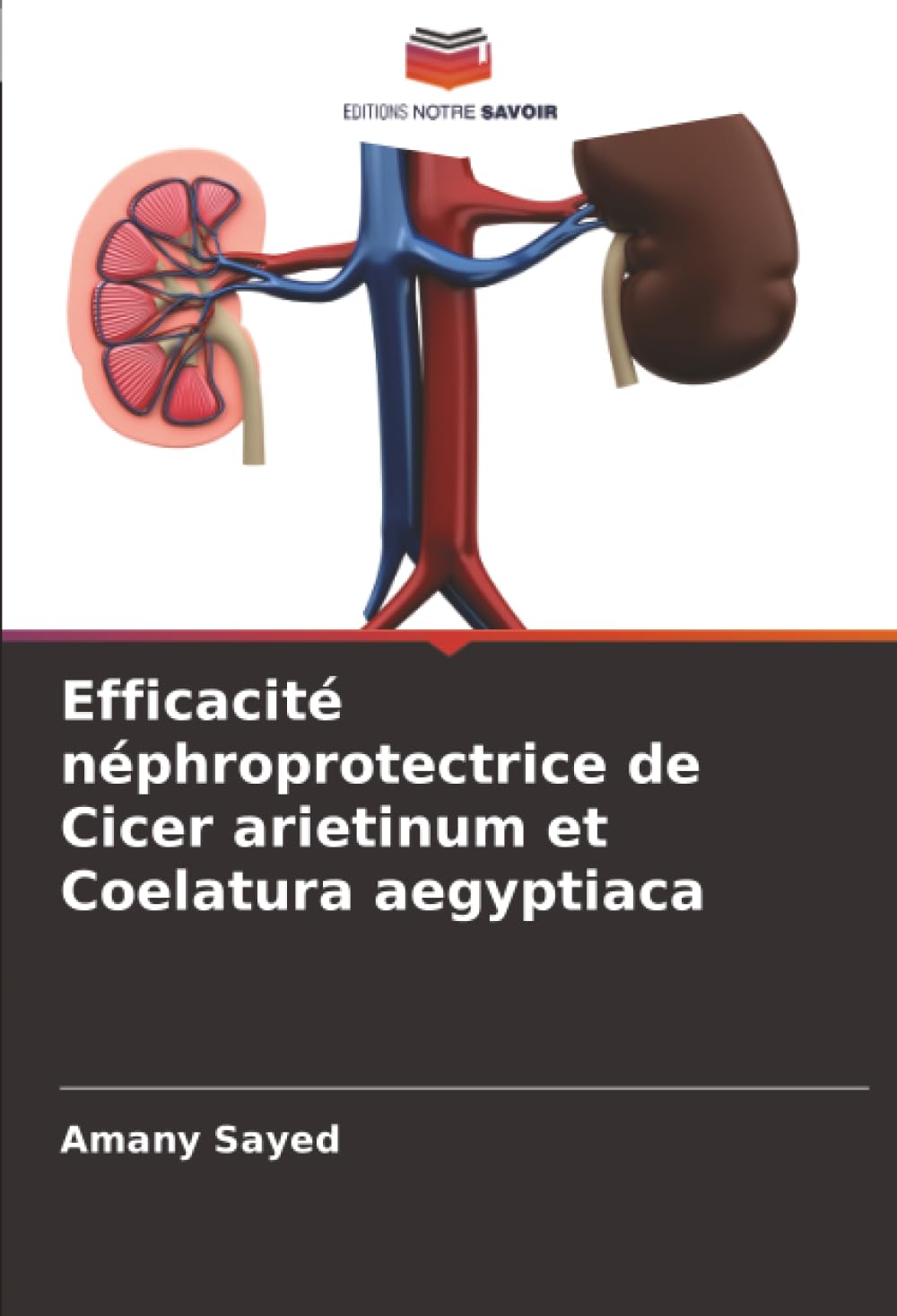 Efficacité néphroprotectrice de Cicer arietinum et Coelatura aegyptiaca