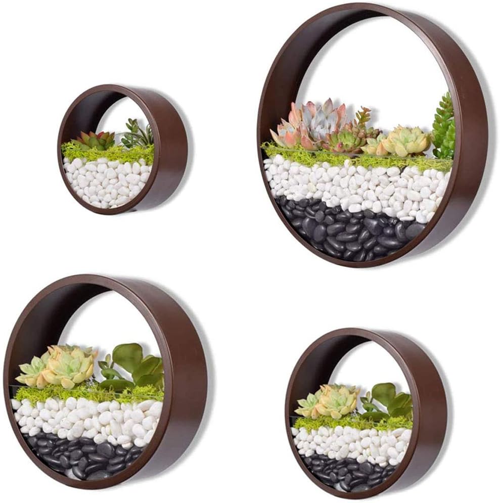 Ecosides Set of 4 Blue Round Wall Hanging Plant Terrarium Air Plant Holder Wall Hanging Container Succulent Plant Pots in Mixed Size