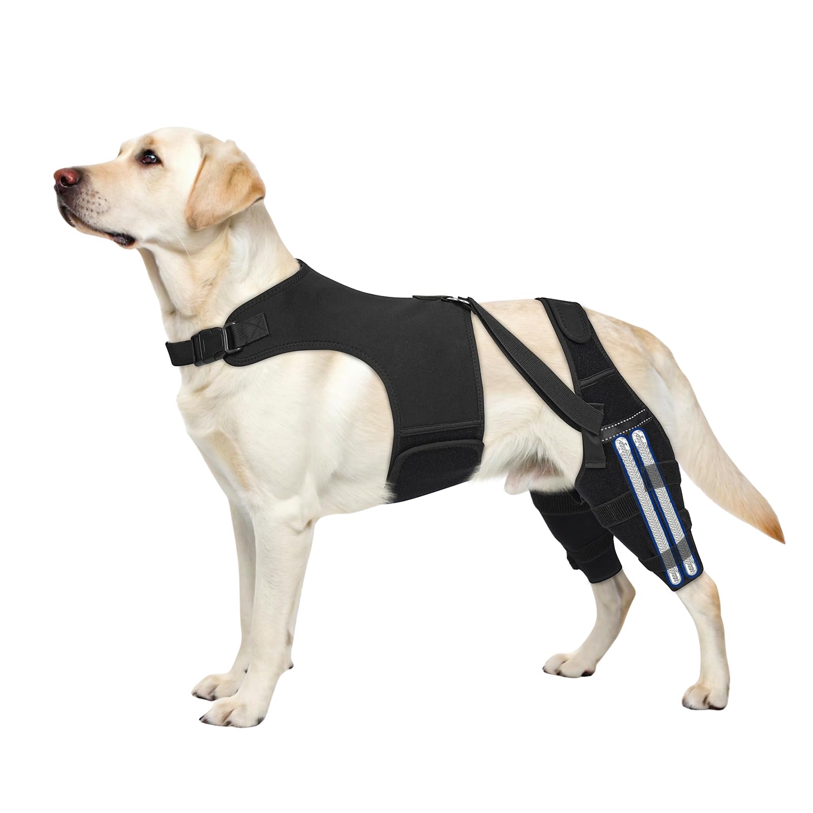 Genouillère pour chien LCA avec 4 stabilisateurs et attelle réglable antidérapante pour blessure