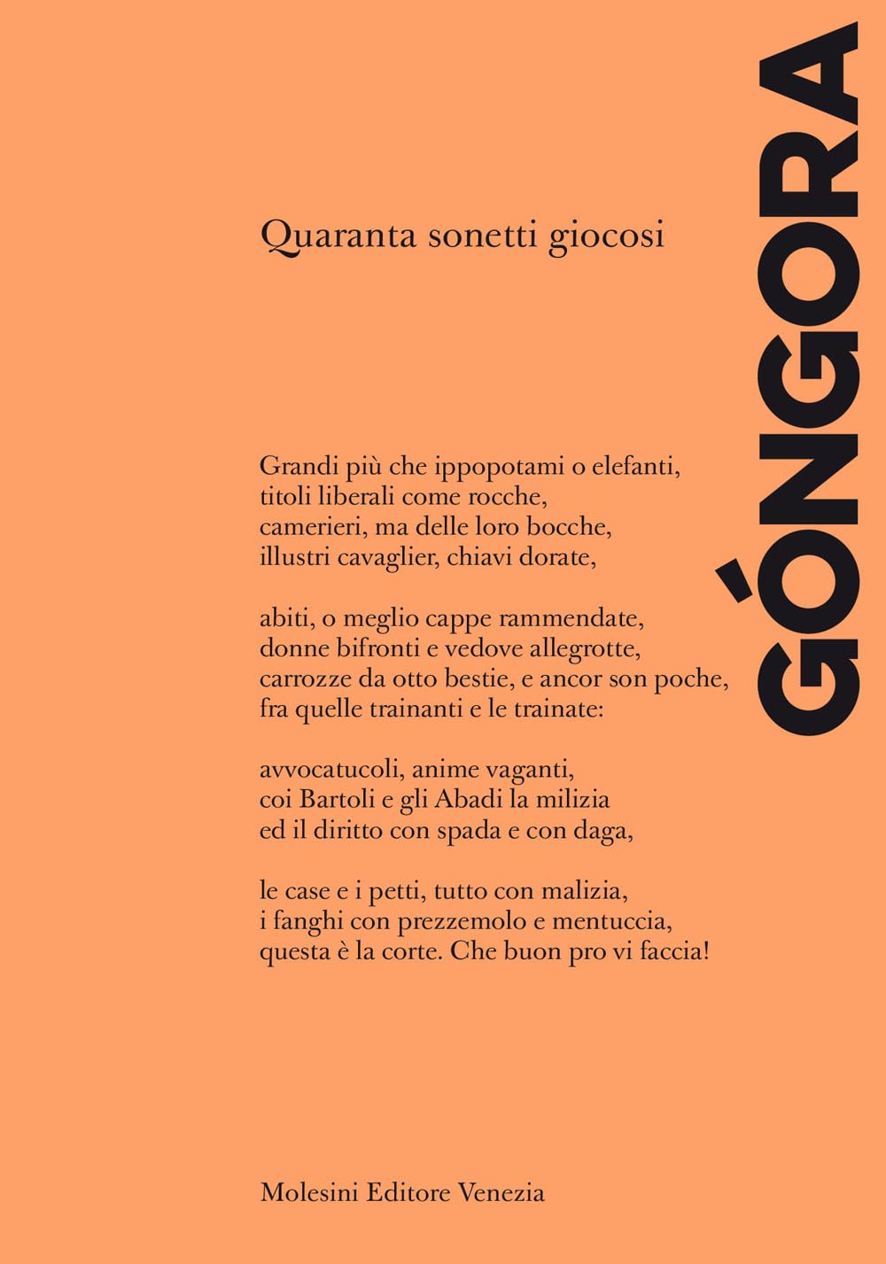 Quaranta Sonetti Giocosi. Ediz. Italiana E Spagnola - 4