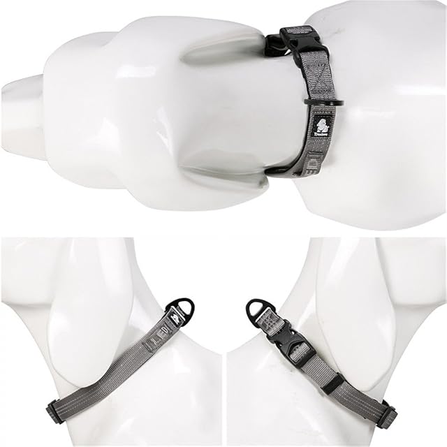 Foto 5 de 6 de Winhyepet Collar para Perro, 4 Colores, 3 m, Reflectante, para Perros pequeños, medianos, Grandes