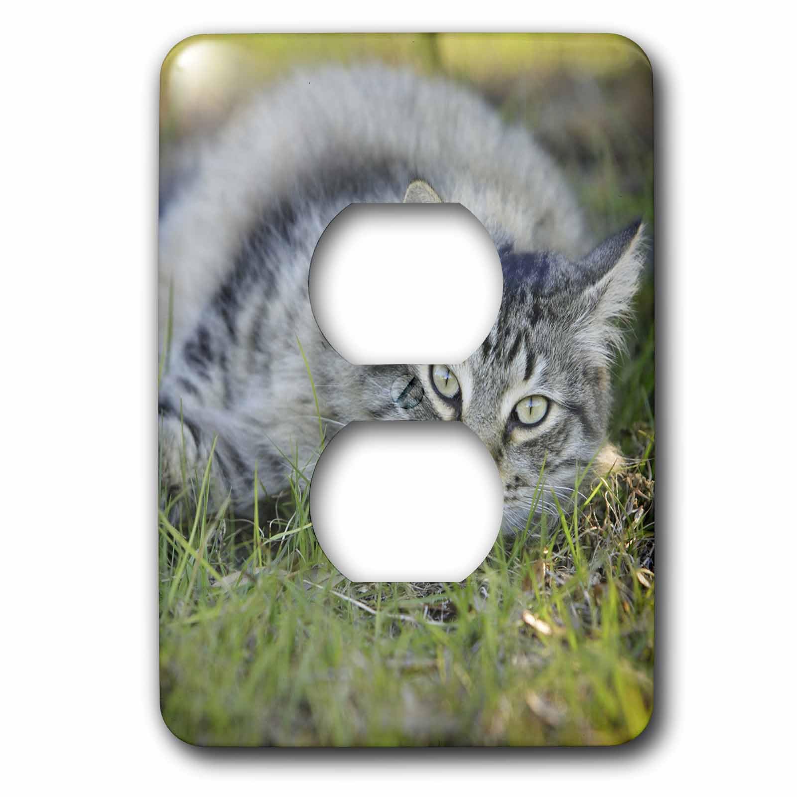 Maine Coon Cat bouchon de prise imprimé pour décoration de maison
