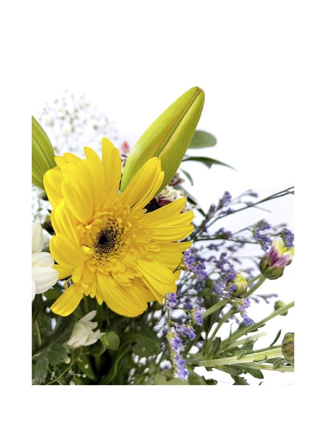 JARDIN202 - Ramo Bouquet Variado | Flores Naturales | Ramo de 12 tallos