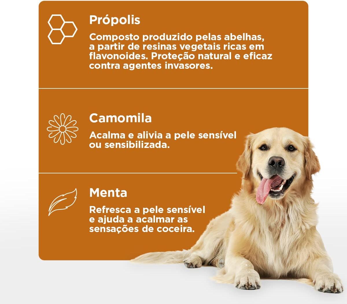 Soft Care Propcalm Otológico 100ml