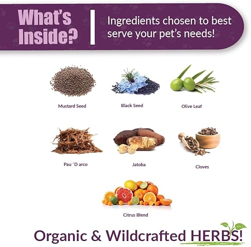 AMBER NATURALZ Reptaid XL Herbal Supplement for Large Reptiles | Herbal Pet Supplement for Immune Support | for Reptiles Above 250g | 1 Fluid Ounce Glass Bottle | Manufactured in The USA(Over 250 grams)