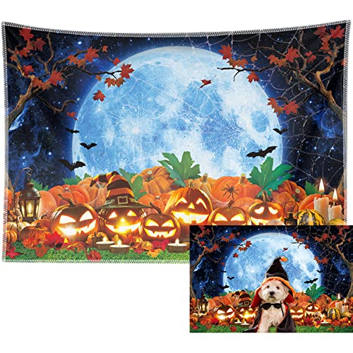 Our Best Fabric For Photo Backdrop [Top 21 Picks] BNB