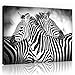 Produktbild FORWALL Bilder Canvas Zebras O7 (50cm. x 70cm.) Leinwandbilder Wandbild AMFPP10092O7