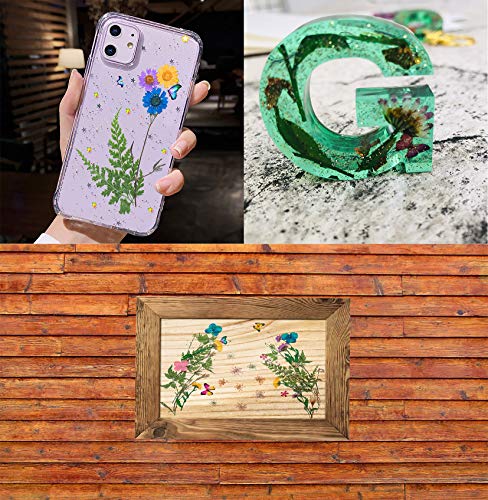 image for Foyozisun Real Dried Pressed Flowers and Butterfly Transparent Sticker