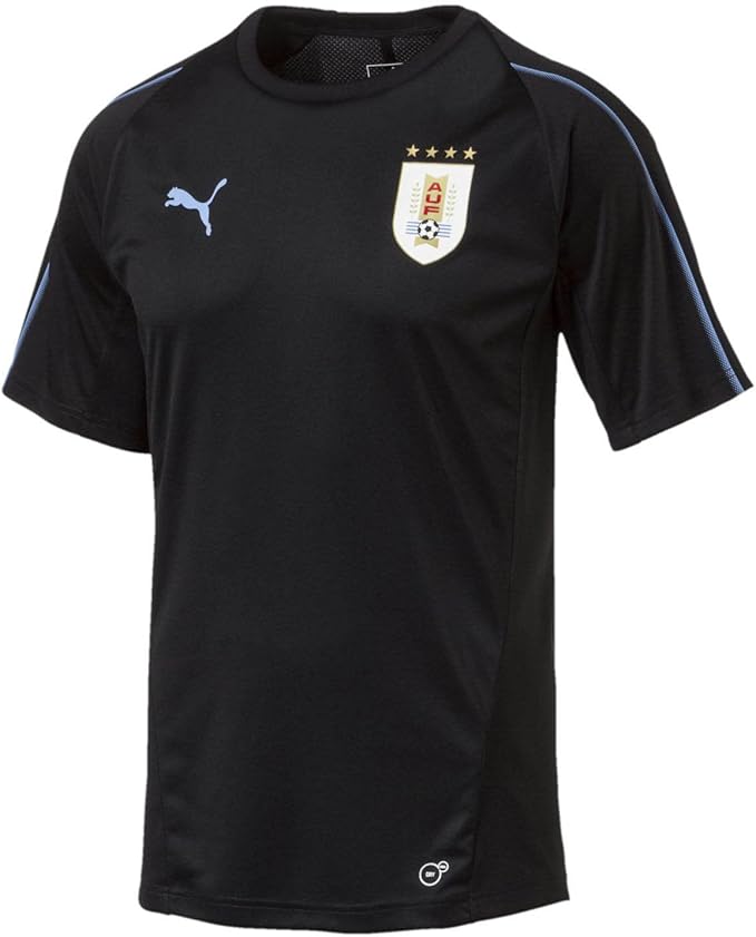 puma uruguay 2018