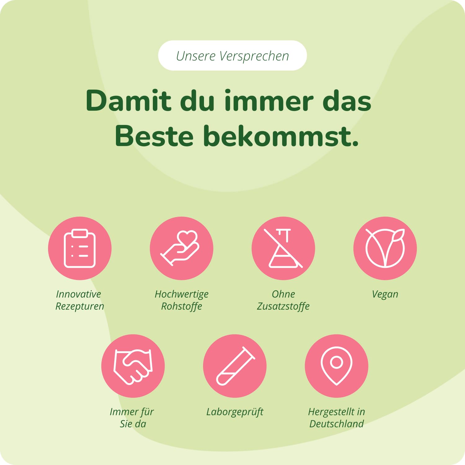 Enzym Komplex | Bromelain - Papain - Amylase - Lipase - Cellulase | Magensaftresistente DRCaps | Natürliche Verdauungsenzyme | Laborgeprüft | Ohne Zusatzstoffe | Deutsche Produktion Vegavero