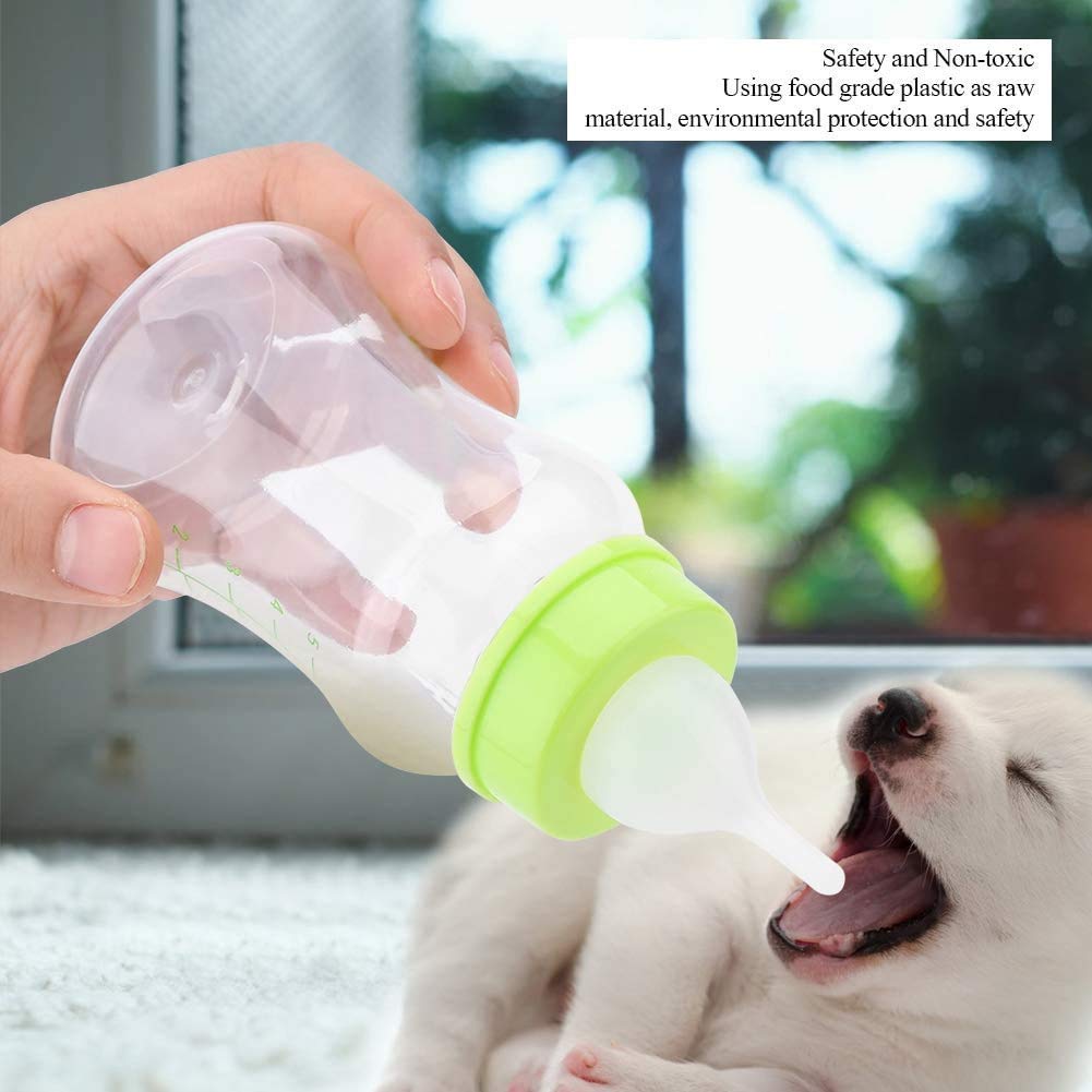 Can Puppies Drink From Baby Bottles