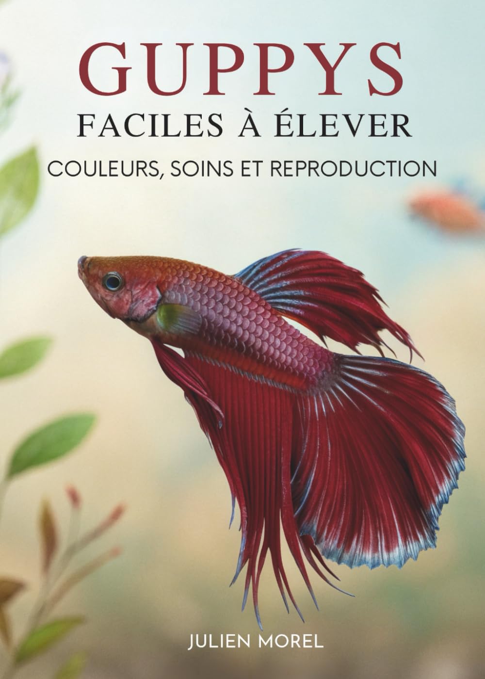 Guppys Faciles À Élever: Couleurs, Soins Et Reproduction