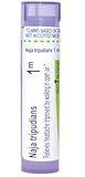 Boiron Naja Tripudians 1M Homeopathic Medicine for Headaches - 80 Pellets