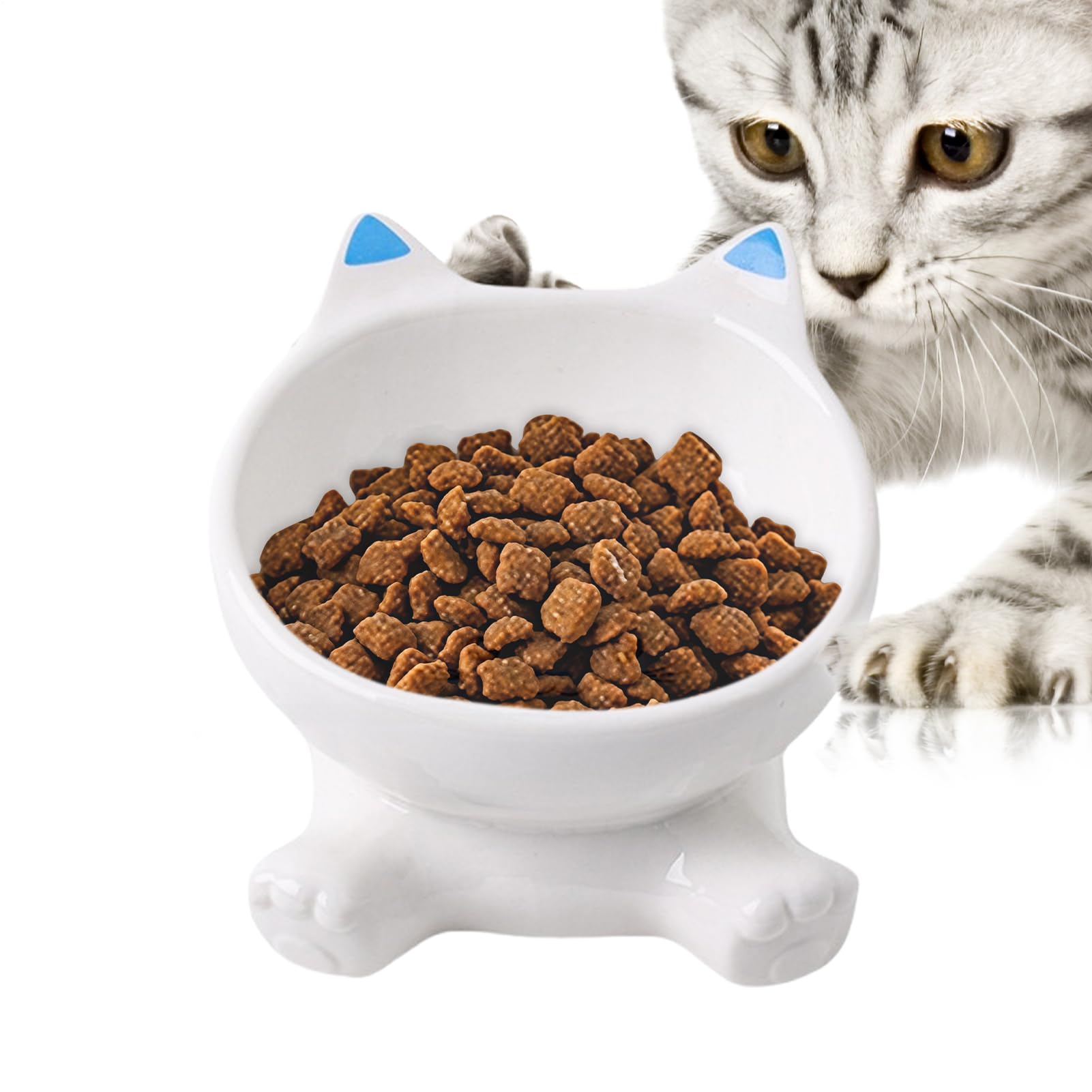 Bol haut anti-dérapant pour chat adapté aux repas calmes en appartement